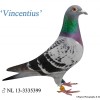 Vincentius